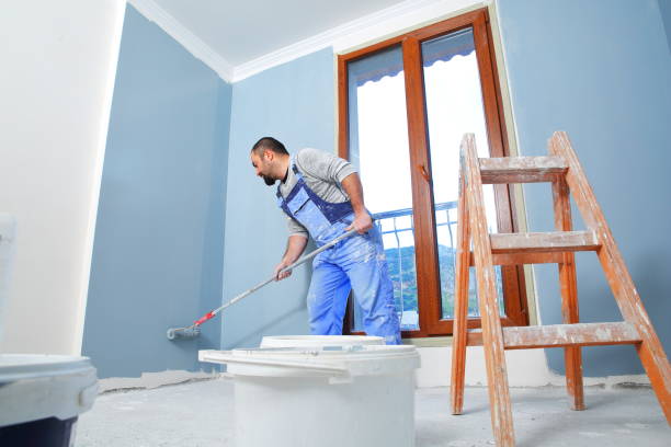 Mold Odor Removal Services in Navassa, NC