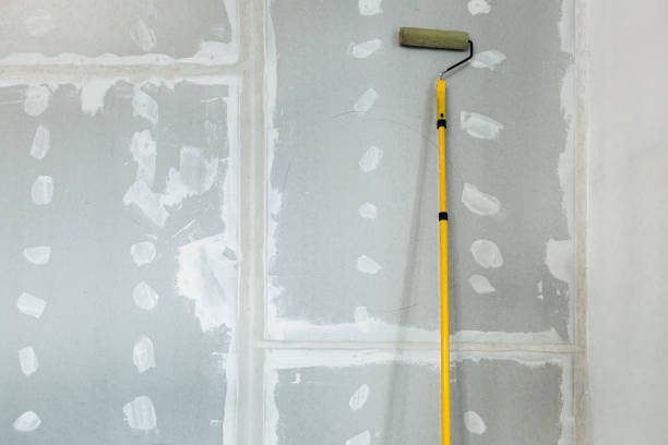 Environmental Consulting for Mold Prevention in Navassa, NC