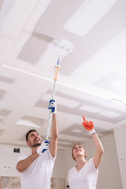 Reliable Navassa, NC Mold Removal Solutions