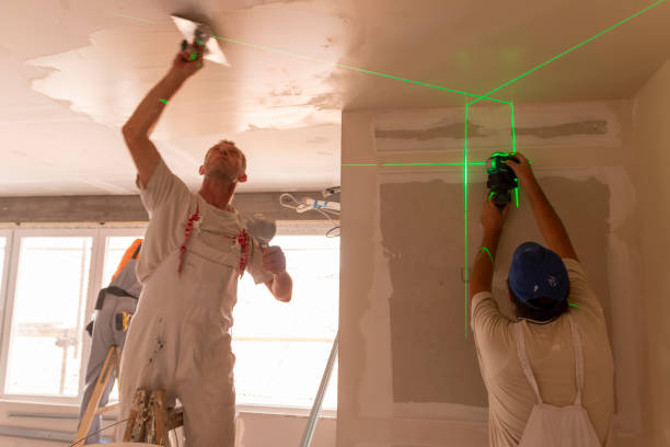 Best Mold Documentation for Insurance Claims  in Navassa, NC