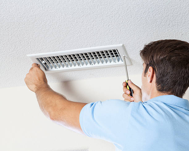  Navassa, NC Mold Removal Pros