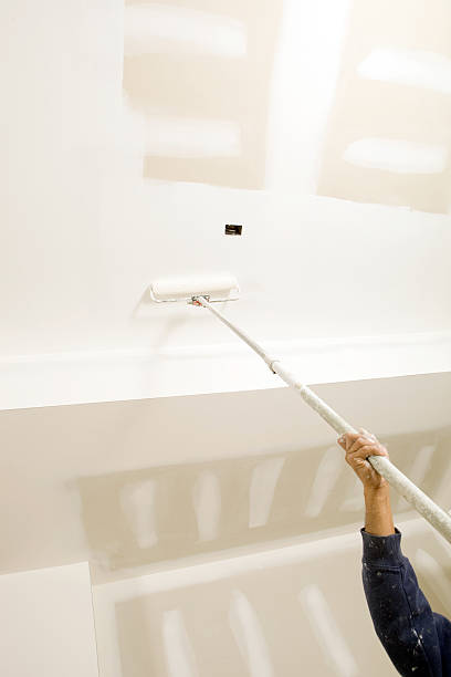 Mold Documentation for Insurance Claims in Navassa, NC