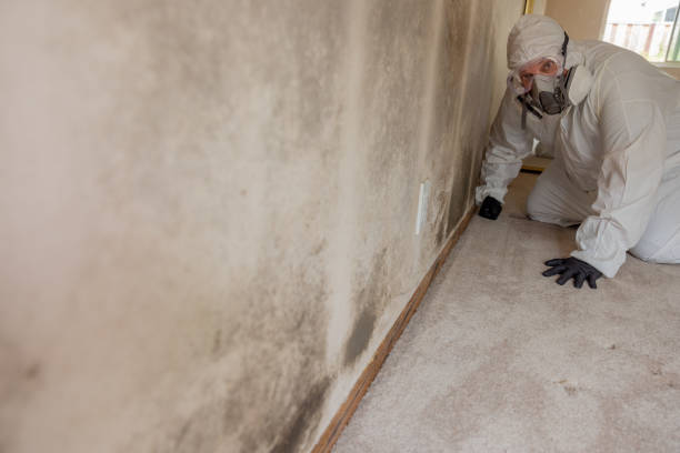 Asbestos and Lead Testing During Mold Inspection in Navassa, NC